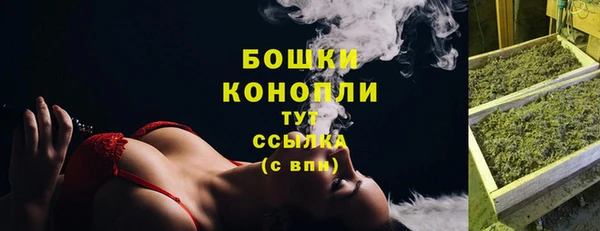 дурь Заводоуковск
